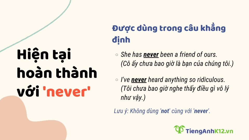 Thì hiện tại hoàn thành với never